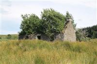 another cottage